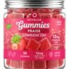 Gummies Complexe CB2 Bonbon Fraise – 12mg CB2 – Sans CBD – 90 grammes