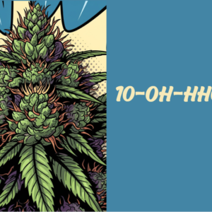 10-OH-HHC