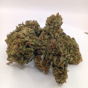 ZOMBIE FLOW COOKIE OUTDOOR