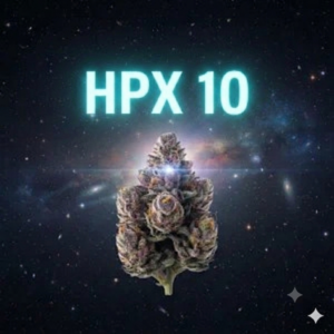 HPX10